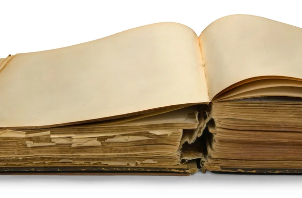 Altes Buch mit leeren Seiten öffnen, isol — Stockfoto