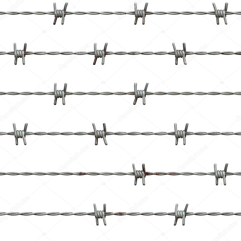Barbed wire, isolated on white backgroun
