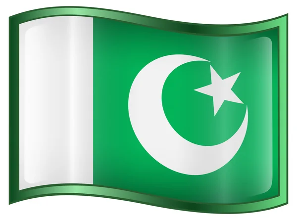 Ícone da bandeira do Paquistão — Vetor de Stock