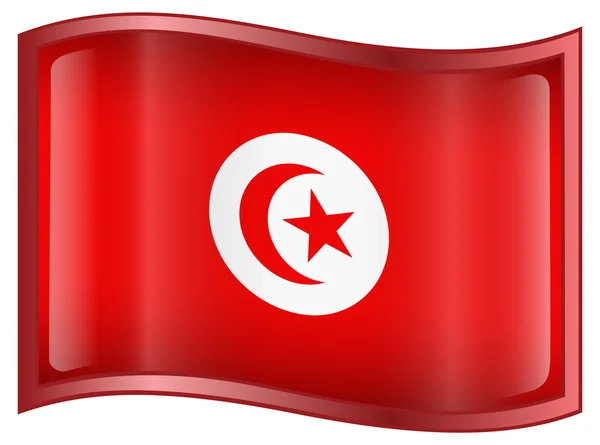 튀니지의 국기 아이콘 — 스톡 벡터