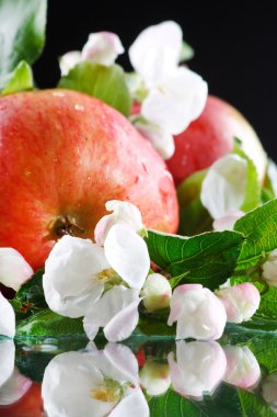 Red apples and white flowers clipart