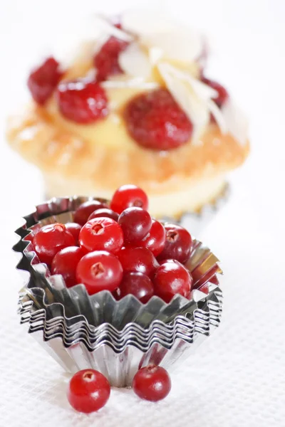 Cranberry cake — Stock Photo, Image