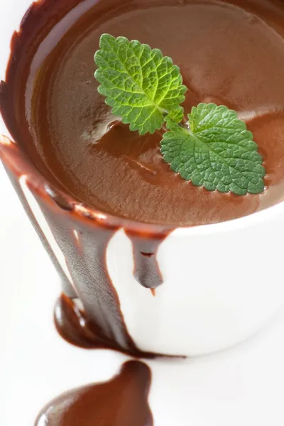 민트와 핫 초콜릿 — 스톡 사진