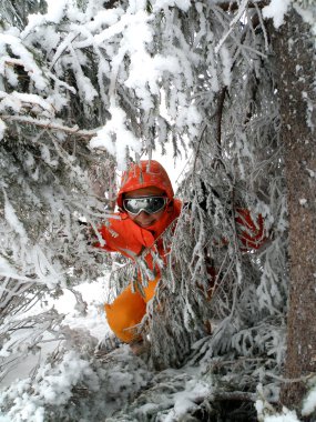 Woman skier with icy trees clipart