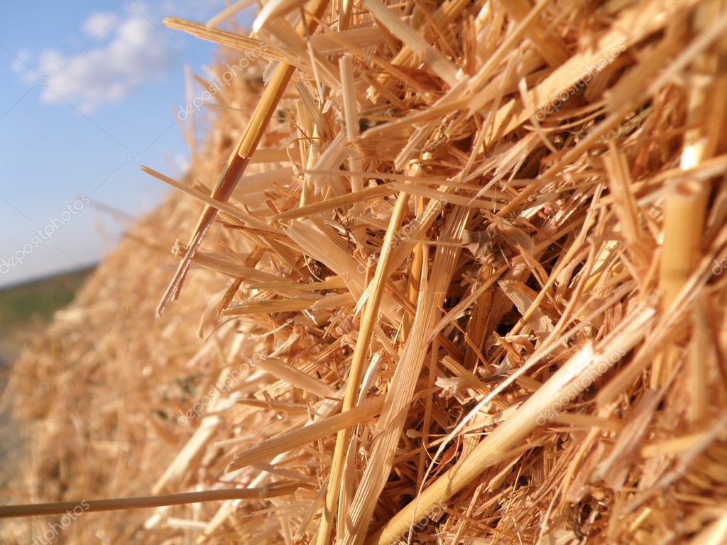 Haystack — Stock Photo © leesa84 1289272