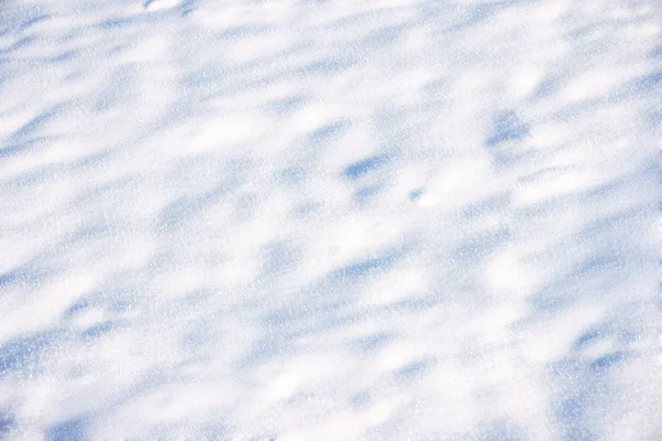 Neve fresca — Fotografia de Stock