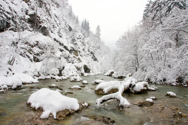 Snowy river — Stock fotografie