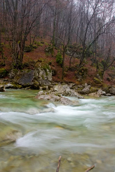 Ruisseau de montagne — Photo
