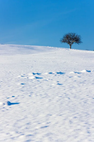 Vinterlandskap med copyspace — Stockfoto