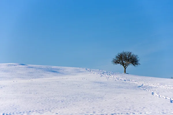 Winterlandschaft mit Kopierraum — Stockfoto