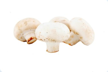 White mushroom clipart