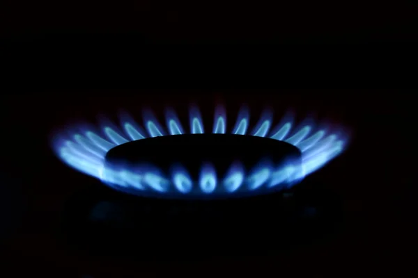 Stock image Gas burners in the kitchen oven