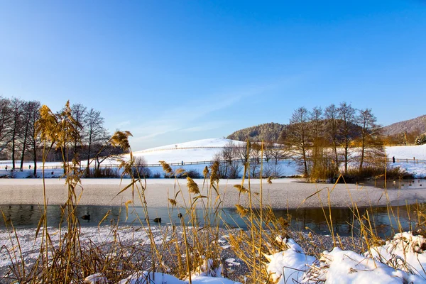 Tierra maravilla invierno — Foto de Stock