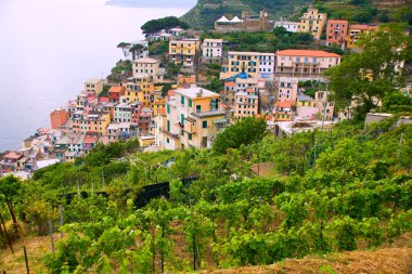 Vernazza, Cinque Terre, İtalya