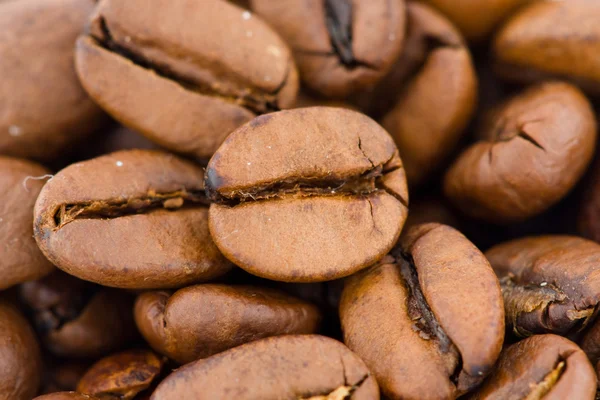 stock image Coffee beans