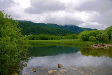 Zaluzje Ribnica