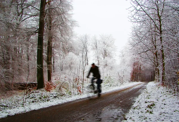 夜の降雪の後森林でのサイクリング — ストック写真