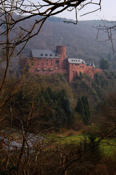 stock image Castle