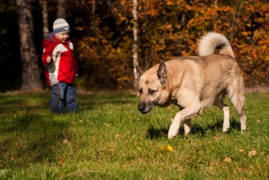 Protection. Dog and child. clipart