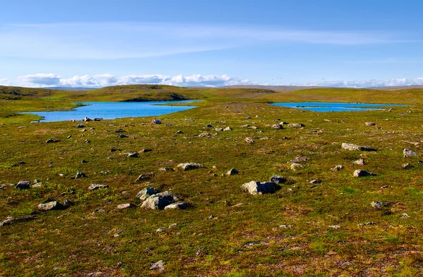 Tundra norvegese — Foto Stock