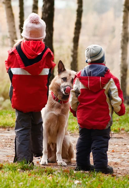 Hond en kinderen — Stockfoto