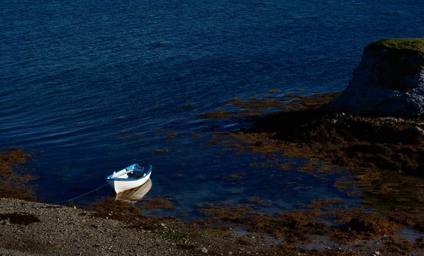 Barco azul y blanco —  Fotos de Stock