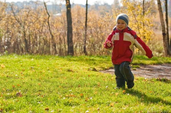 Μικρό αγόρι που τρέχει στο φθινόπωρο δάσος — Φωτογραφία Αρχείου