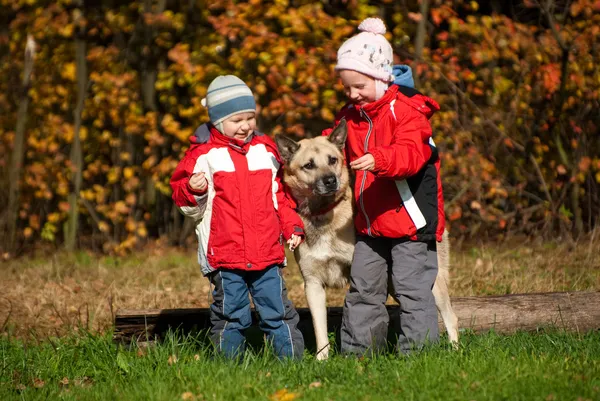 Barn som leker med hunden Royaltyfria Stockfoton