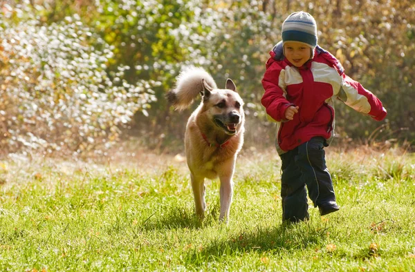 Маленький мальчик играет со своей собакой Лицензионные Стоковые Фото