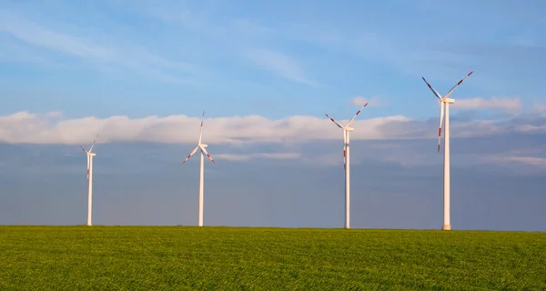 Les éoliennes sur le terrain vert — Photo