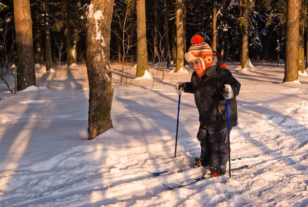 Маленький хлопчик крос-кантрі лижі Ліцензійні Стокові Зображення