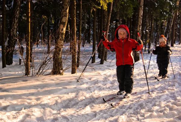 儿童越野滑雪 — 图库照片