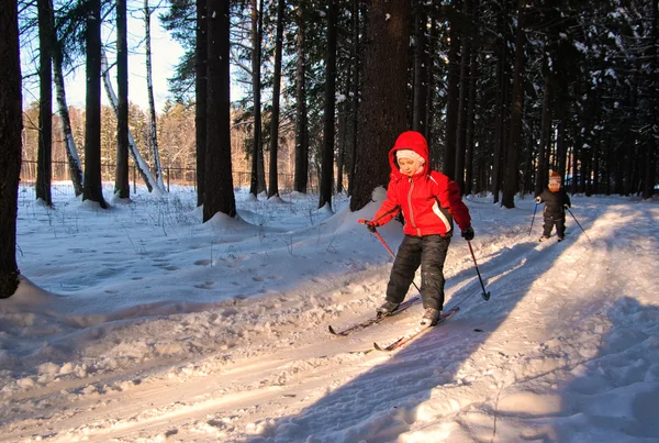子どもクロスカントリー スキー — ストック写真