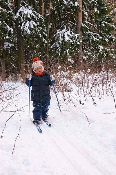 Skilanglauf für kleine Jungen — Stockfoto