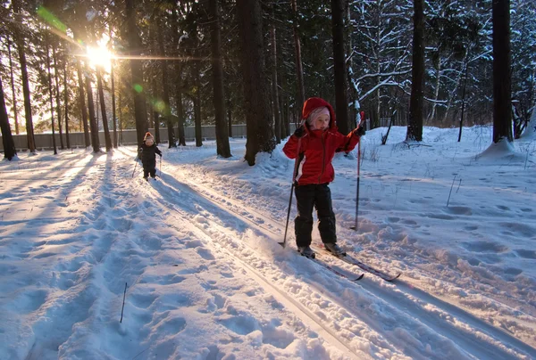 Crianças esqui cross country Fotos De Bancos De Imagens