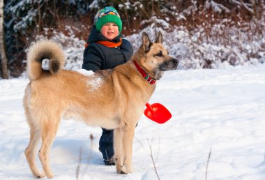 köpek ve çocuk