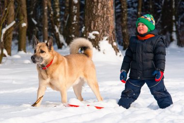 köpek ve küçük çocuğu oynama