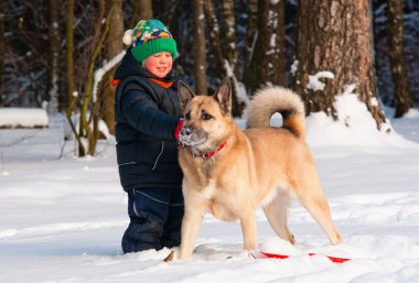 köpek ve küçük çocuğu oynama