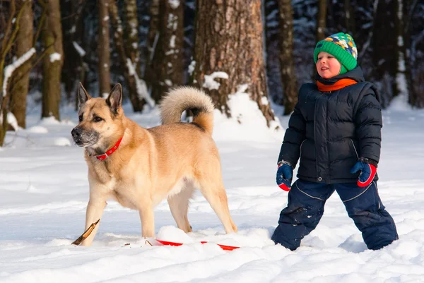 犬と少年を再生 — ストック写真