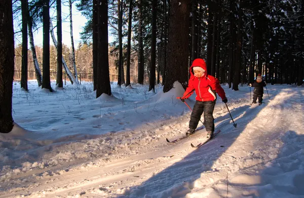 Crianças esqui cross country — Fotografia de Stock