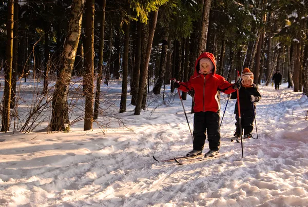 儿童越野滑雪 — 图库照片