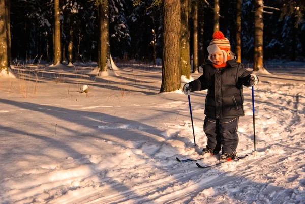 Küçük çocuk cross country kayak — Stok fotoğraf
