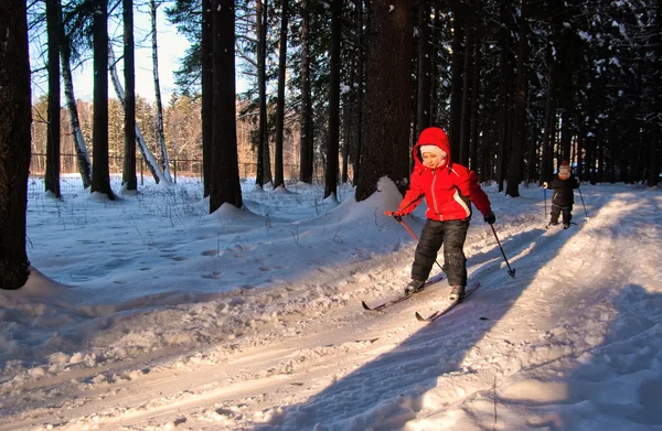 儿童越野滑雪děti běžecké lyžování Stock Snímky