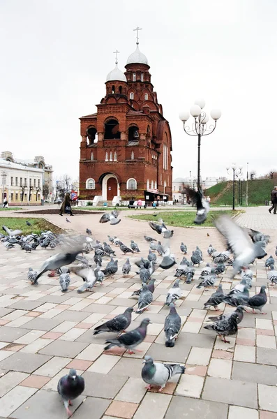 Pigeons devant une chapelle — Photo