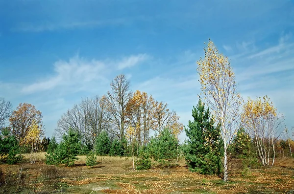 stock image Autumn landscape