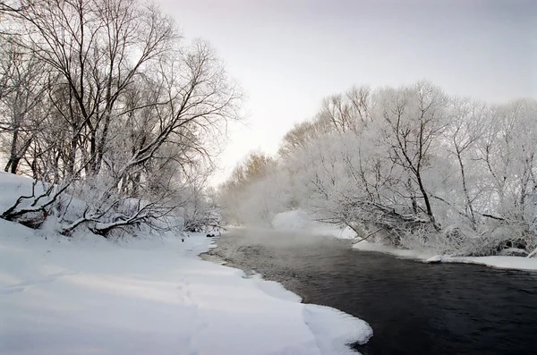 Winter landscape — Stock Photo, Image