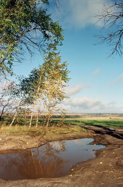 stock image Landscape