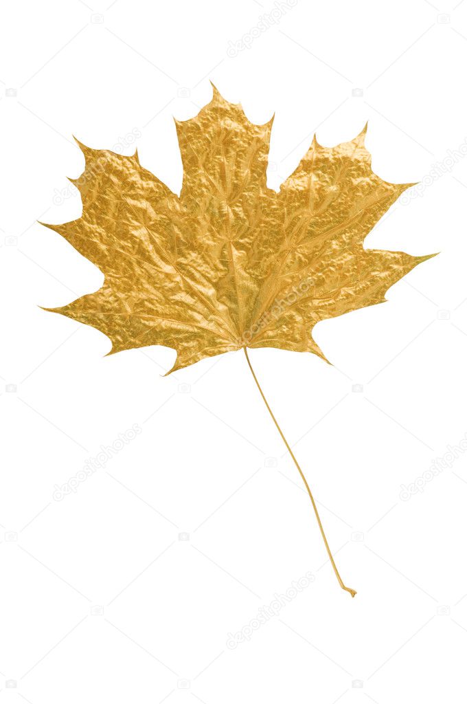 Gold maple leaf — Stock Photo © nrey_ad 1165780