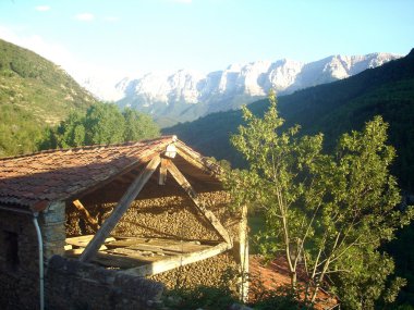 yapraklara akşam güneşin çatısı