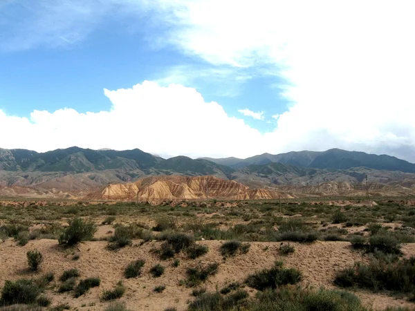 砂漠と山 — ストック写真
